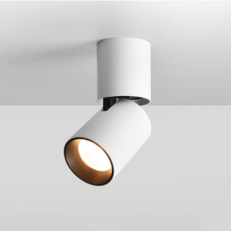 Spot LED Plafonnier FOOC 15W 4000K Blanc Naturel - Rotation 355° Horizontal / 90° Vertical - CRI >90 - Pour Salon, Bureau, Cuisine - 10