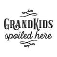 thumbnail image 4 of Tara Reed 15x15 Black Modern Wood Framed Wall Art Titled - Grandparent Life XII-Spoiled Here, 4 of 6