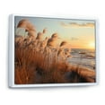 thumbnail image 2 of Designart "Beach Grass in Photograph I" Nautical & Beach Floater Framed Canvas Wall Art, 2 of 7
