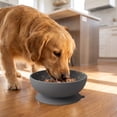 thumbnail image 4 of Rdausd 5.98" Silicone Pet Bowl with Suction Cup, Non-Slip Dog Cat Feeding Bowl, Food Grade Water Bowl for Small Medium Pets, BPA-Free Durable Pet Bowl, Gray, 4 of 5