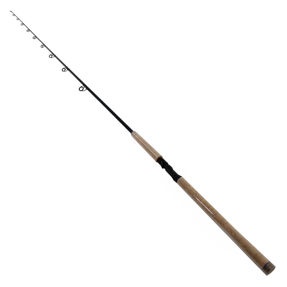 "Saltwater Spinning Rod"