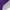 Purple, variant on GUOBIOZIY Women's Slip on Walking Shoes Lightweight Casual Running Sneakers(Black,8.5)