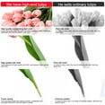 thumbnail image 4 of 10 Pcs Tulips Artificial Flowers Faux Tulip Stems for Mothers Day Easter Spring Wreath Wedding Bouquet Centerpiece Floral Arrangement Cemetery Party Wedding Table Decor 14Inch Tall, 4 of 5