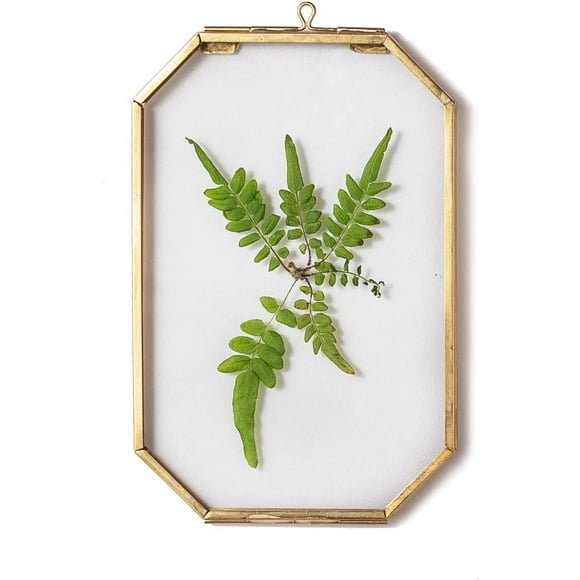 shiyou-4"x6" Hanging Glass Floating Frame for Display Plant Specimen, Pressed Dried Flowers, Artwork Photo, Picture - Clear Octagon Herbarium, Wall Decor Gold, Handmade (Glass Frame Only)