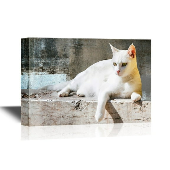 wall26 - Cats Canvas Wall Art - White Cat Lying with Vintage Wall Background - Gallery Wrap Modern Home Art | Ready to Hang - 16x24 inches