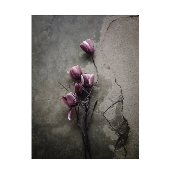 Canvas Wall Art - Kahar Lagaa 'The Tulip' Wall Art for Living Room, Bedroom, or Office Décor by Trademark Fine Art - 14 x 19 Inches