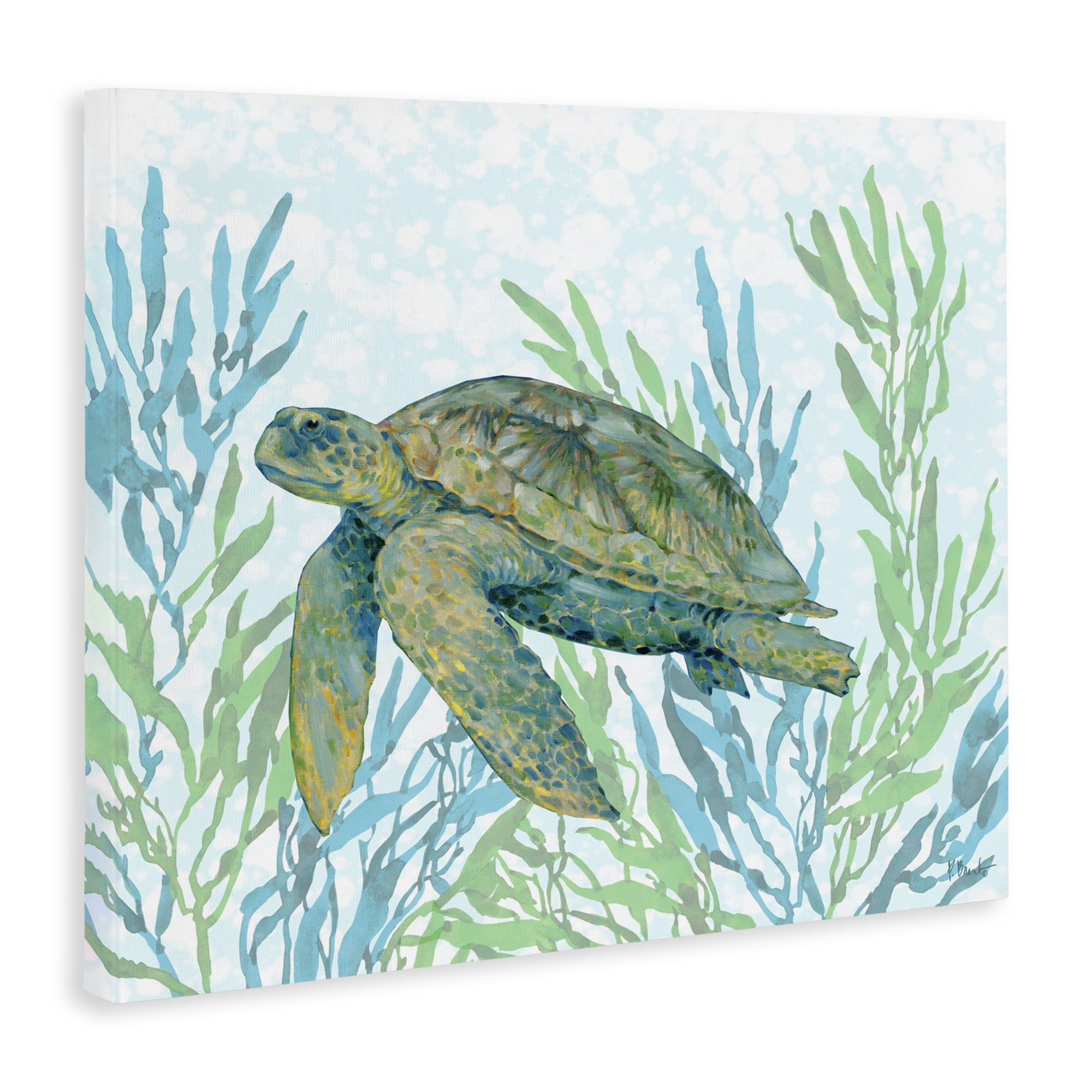 Stupell Industries Tasman Turtle in Seagrass Canvas Wall Art, design by Paul Brent