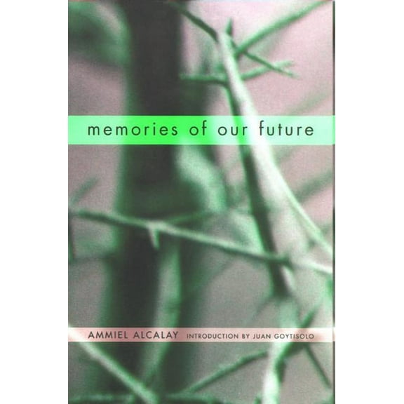 Memories of Our Future : Selected Essays 1982-1999 (Paperback)