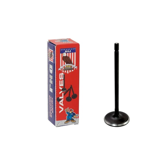 DNJ IV4349A Intake Valve Fits Cars & Trucks 2015 Subaru Legacy Outback 2.5L H4 DOHC 16v