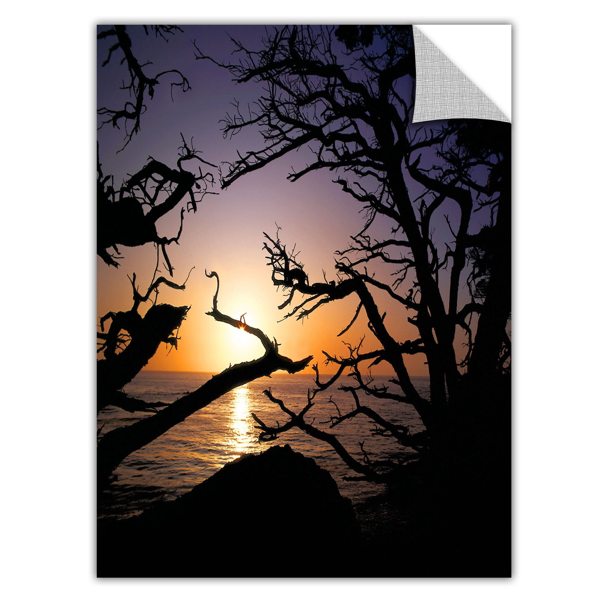 Dean Uhlinger Pacific Light, Art Appeelz Removable Wall Art Graphic