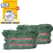 Grandpa's Best Orchard Grass Hay Mini Bale for Small Animals - 10lb