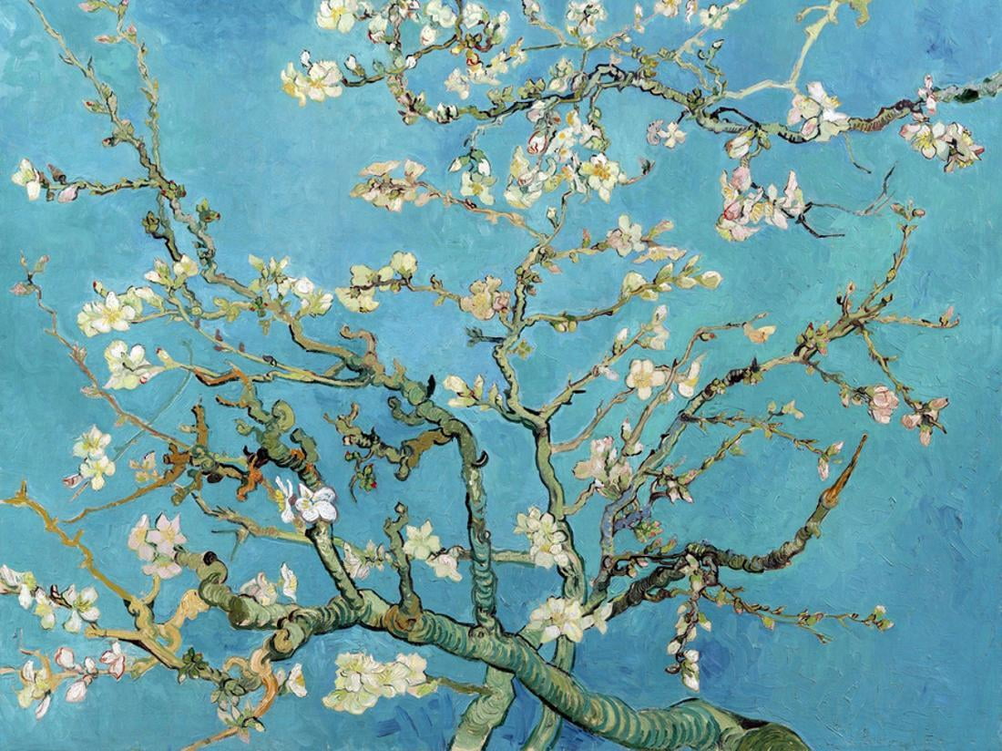 Almond Branches in Bloom, San Remy, c.1890 Art Print  by Vincent van Gogh Sold by Art.Com