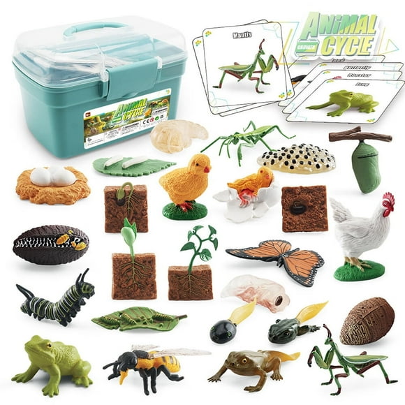 Life Cycle Kit Toy Montessori Realistic Toys Kids Animal Match Set with Frog Ladybug & More for Toddler Preschool Learning