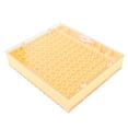 2024 Plastic Bee Cell Cups Kit Queen Rearing System Cultivating Box