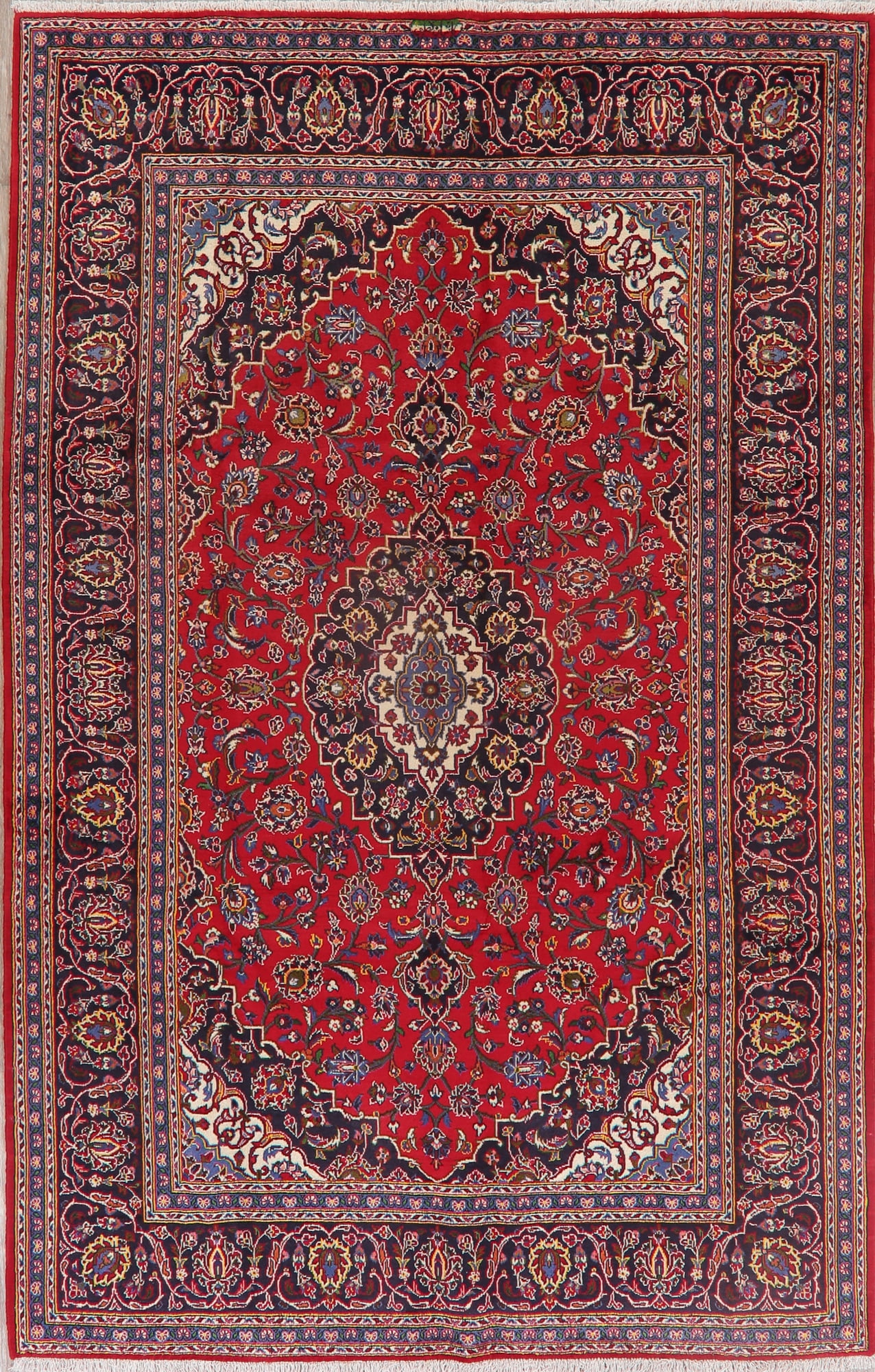 Traditional Floral Red Oriental Handmade Area Rug 6x10