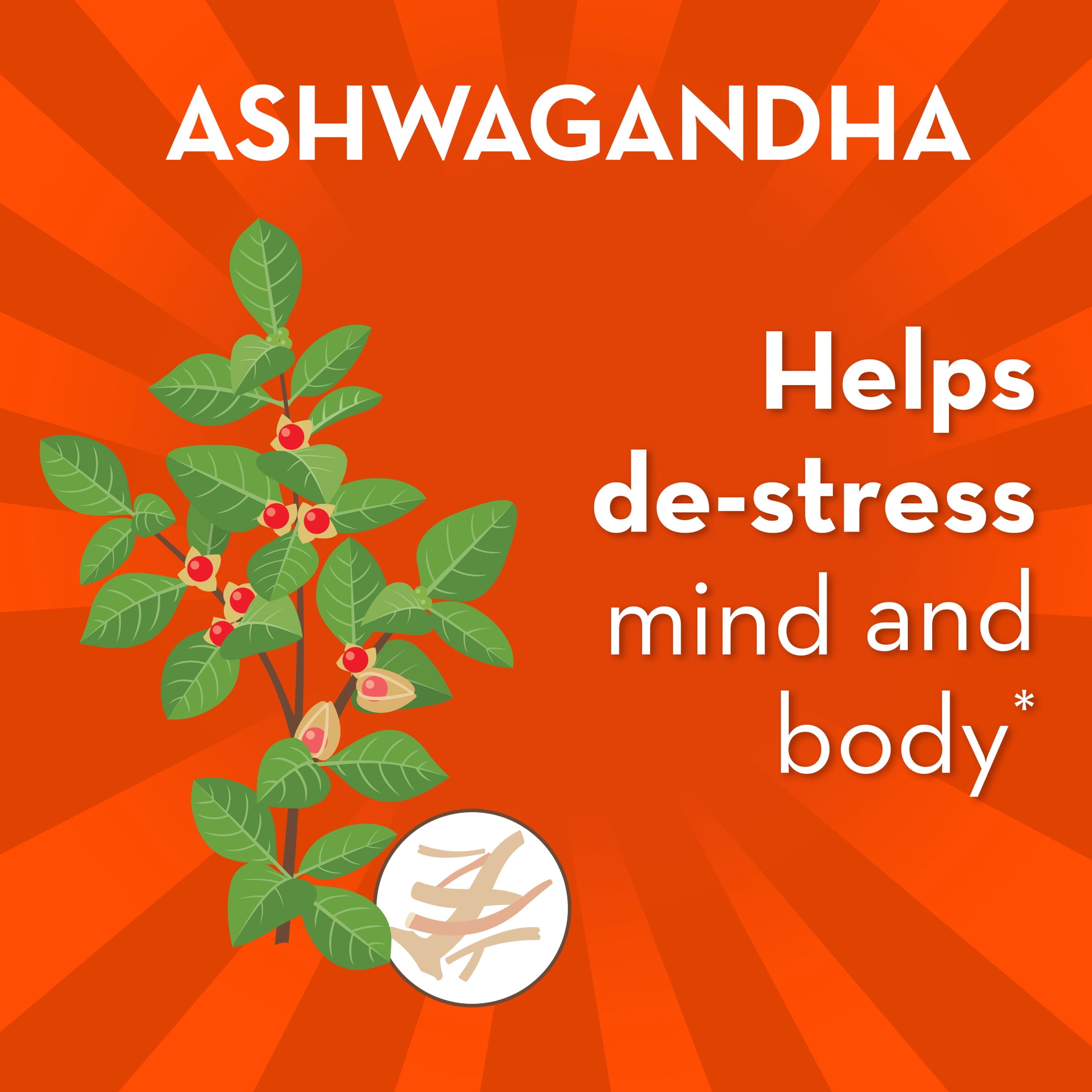 Align Probiotic, Gut Health + Stress Support with Ashwagandha, 21 Capsules