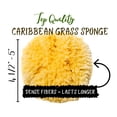 thumbnail image 7 of Sea Sponge 5&rdquo; Natural Bath Sponge Set, Sea Sponges - Organic Natual Loofah Sponge - Sustainably Hand-Cut, Large Himalayan Salt Chunk, Soap Saver Bag, Zero Waste Gift Set (Natural Sponge - 2, 7 of 7