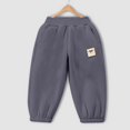 thumbnail image 4 of Boy Sweatpants Boys Fleece Pants Toddler Girls and Boys Fleece Lined Sweatpants Youth Jogger Pants with Pockets Drawstring Active Clothes for Kids Grey 12-18 Months, 4 of 4