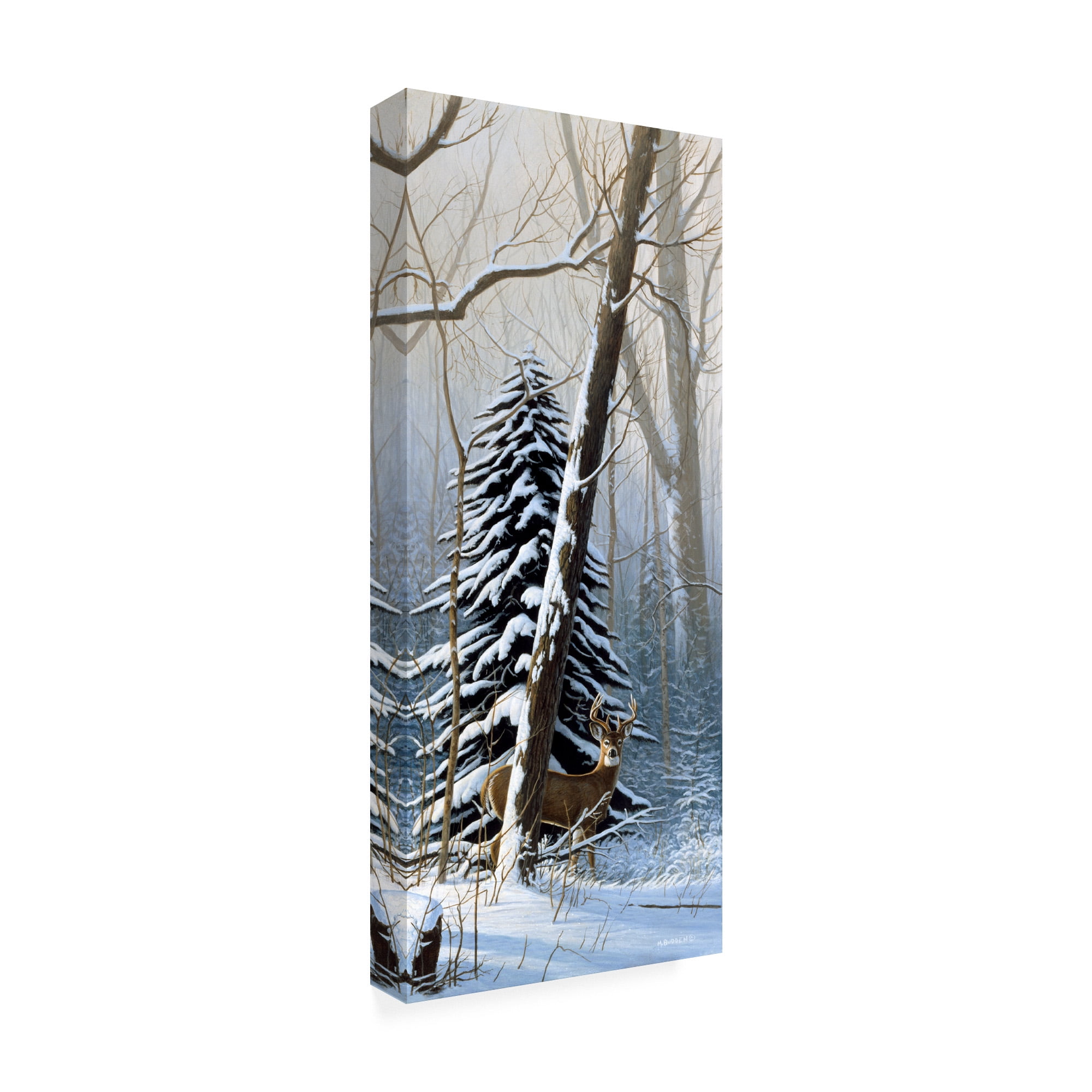Trademark Fine Art 'Winter Light, Buck' Canvas Art by Michael Budden