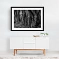 thumbnail image 2 of Haunted Forest - York Pennsylvania Photography Black and White Forest Nature Woodland Woods Rustic Mystical Black Framed Wall Art Print 16 x 24 inches, 2 of 4