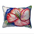 thumbnail image 1 of Betsy Drake ZP422 20 x 24 Po Coussin à Fermeture Éclair Extra Large, 1 of 1