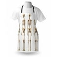 thumbnail image 3 of Human Anatomy Apron Man Male Human Skeleton Skull Different Perspectives Medical Humor Illustration, Unisex Kitchen Bib Apron with Adjustable Neck for Cooking Baking Gardening, Cream, by Ambesonne, 3 of 3