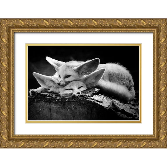 Ross Rossi, Ib 18x13 Gold Ornate Wood Framed with Double Matting Museum Art Print Titled - The happy couple
