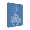 thumbnail image 2 of Trademark Fine Art 'Seaweed Cyanotype III' Canvas Art by Vision Studio, 2 of 4