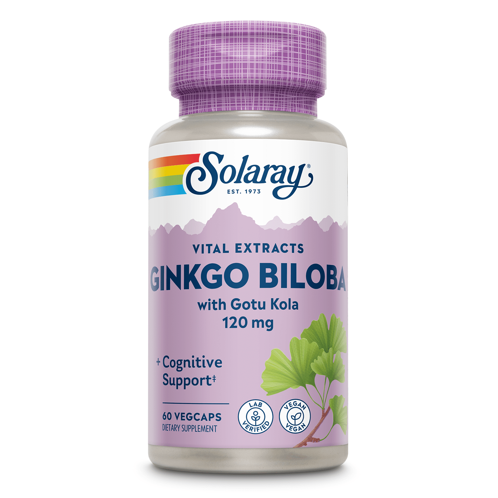 Solaray One Daily Ginkgo Biloba Supplement, 120mg | 60 Count