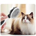 thumbnail image 4 of cepillo para el pelo de mascotas para perros pequeños, cepillo para el pelo muerto autolimpiante para perros y gatos, eliminación de pelo muerto y capa inferior con un solo clic, 4 of 5