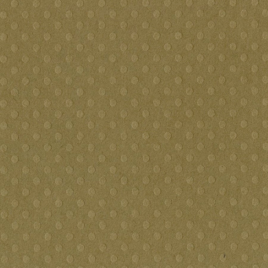 Bazzill Cdstk 12x12 Dotted Swiss Mud Puddle (pack of 25)