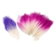 thumbnail image 1 of 100 PCS Magnolia Natural Skeleton Hojas DIY Scrapbooking Purple Pink Blanco, 1 of 9