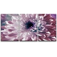 thumbnail image 3 of PixonSign Canvas Print Wall Art Set Blossoming Purple Aster Flower Floral Plants Photography Realism Southwest Closeup Relax/Calm Multicolor Ultra for Living Room, Bedroom, Office - 24"x36"x3, 3 of 5