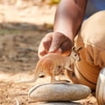 thumbnail image 3 of Figura de animal Schleich Wild Life con forma de canguro para niños a partir de 3 años, 3 of 5