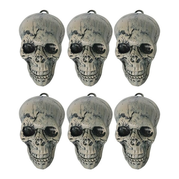 Coollooc Bag of Realistic Bulk Skeleton Skulls (6 Pack) 6 Inch Human Skulls Halloween Decorations, Bar and Table Halloween Decor, Spooky Yard Decor