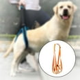 thumbnail image 2 of Eslinga de elevación para mascotas Sunnimix para perros con soporte de cadera, 2 of 8