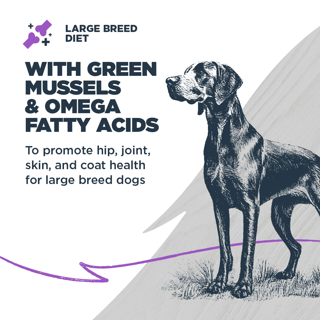 Blackwood Dry Dog Food Large Breed Whitefish Meal with Ancient Grains 10 lb.