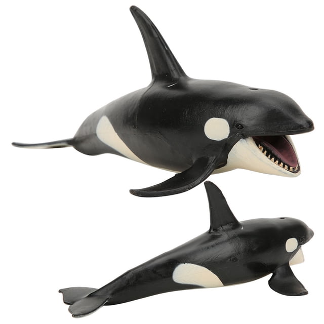 Modelo de ballena asesina de mano de obra exquisita juguete modelo de ballena asesina de regalo maravilloso oficina de decoración de escritorio para escritorio en el hogar ANGGREK Otros
