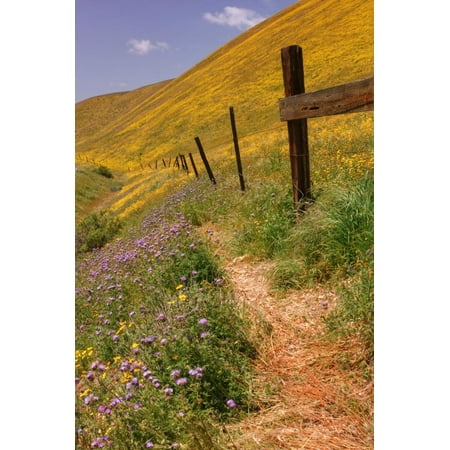 Central Valley Spring Roadside Scene Print Wall Art By Vincent