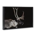 thumbnail image 2 of Stupell Industries Rustic Lodge Dark Reindeer at Night Black Floating Frame Canvas Art, 31 x 21, by Amy Carroll, 2 of 8
