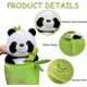 thumbnail image 3 of Cute Panda Plush Toy with Bamboo Cover, Bamboo Tube Panda Plush Toy, Kawaii Panda Stuffed Toys, Animal Panda Plush Doll Pillow Toys for Kids Funny Bir, 3 of 5