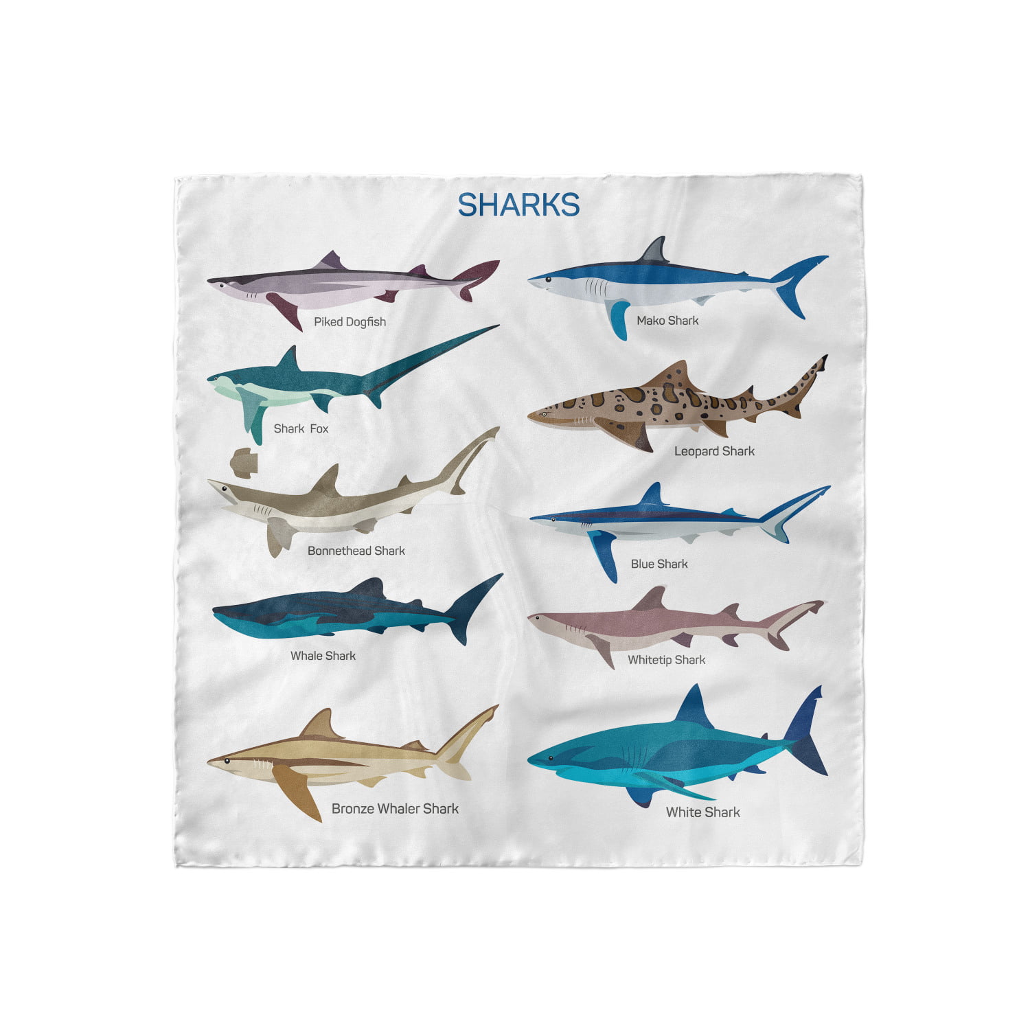 Shark Head Scarf, Cartoon Shark Types Wild, Head Wrap, 3 Sizes, by  Ambesonne 