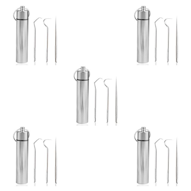 Injueey 3 piezas palillos de dientes con soporte portátil Mini adultos personas mayores dientes herramientas contenedores Picnic suministros Type2 NO2