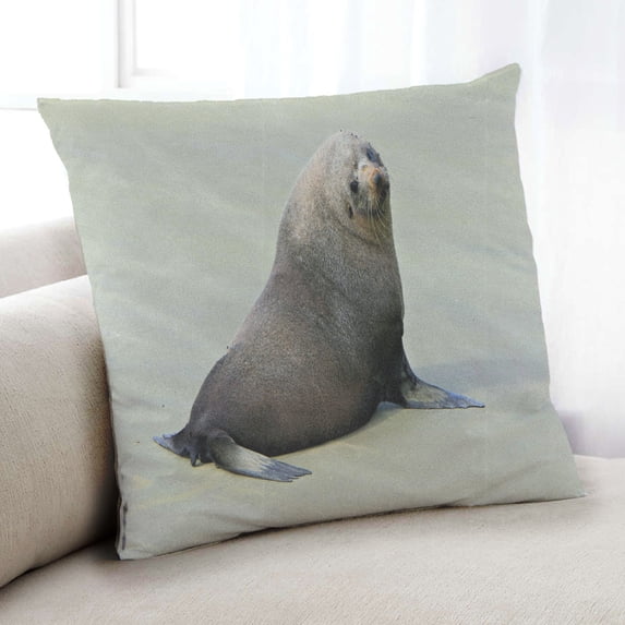 Ahgly Company Animals Seal Indoor Throw Pillow, 18 inch by 18 inch