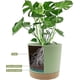 thumbnail image 3 of Set of 2 Plant Pots 16cm, Indoor Plant Pots with Drainage Holes and Removable Base, Modern Decorative Saucer for Outdoor Planters (Green 16cm), 3 of 5