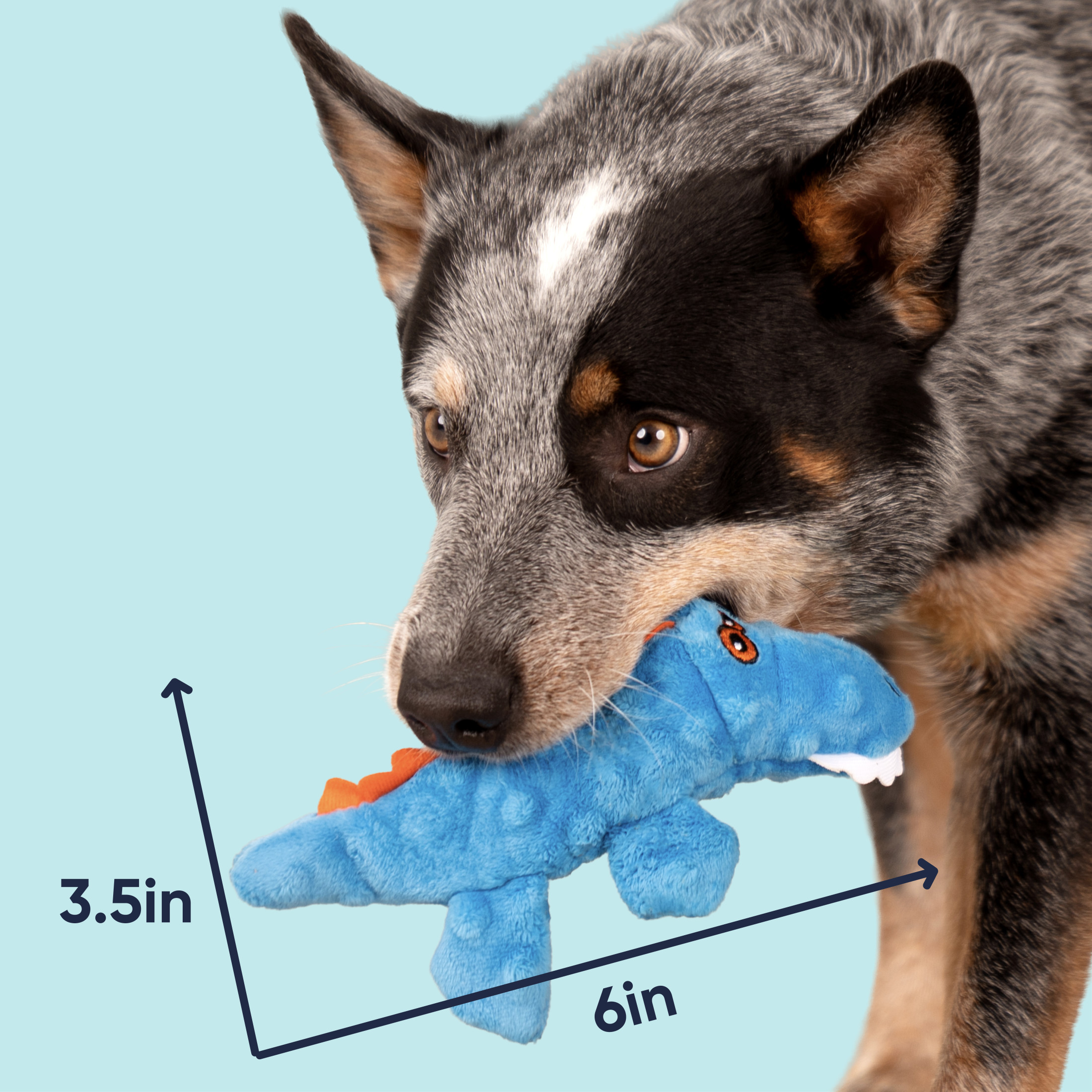goDog Just For Me Gators Squeaky Plush Toy, Mini, Blue photo 7