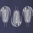 thumbnail image 3 of CafePress - Trilobite Long Sleeve Dark T Shirt - Long Sleeve Dark T-Shirt, 3 of 4