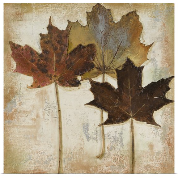 Great BIG Canvas | Rolled Patricia Pinto Poster Print entitled Natural Leaves III