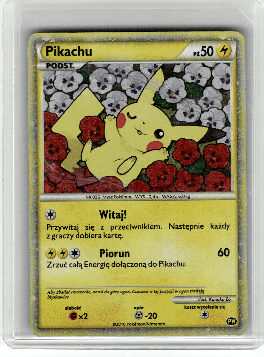 Pokémon Pikachu V-Union Special Collections Box, Celebrations, 6