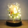 thumbnail image 2 of RisingPro Rose Beauty LED Light Up Light Enchanted Flower Glass Dome Wedding Party Gift, 2 of 5